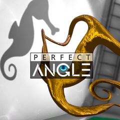 Perfect Angle cover art (full size)