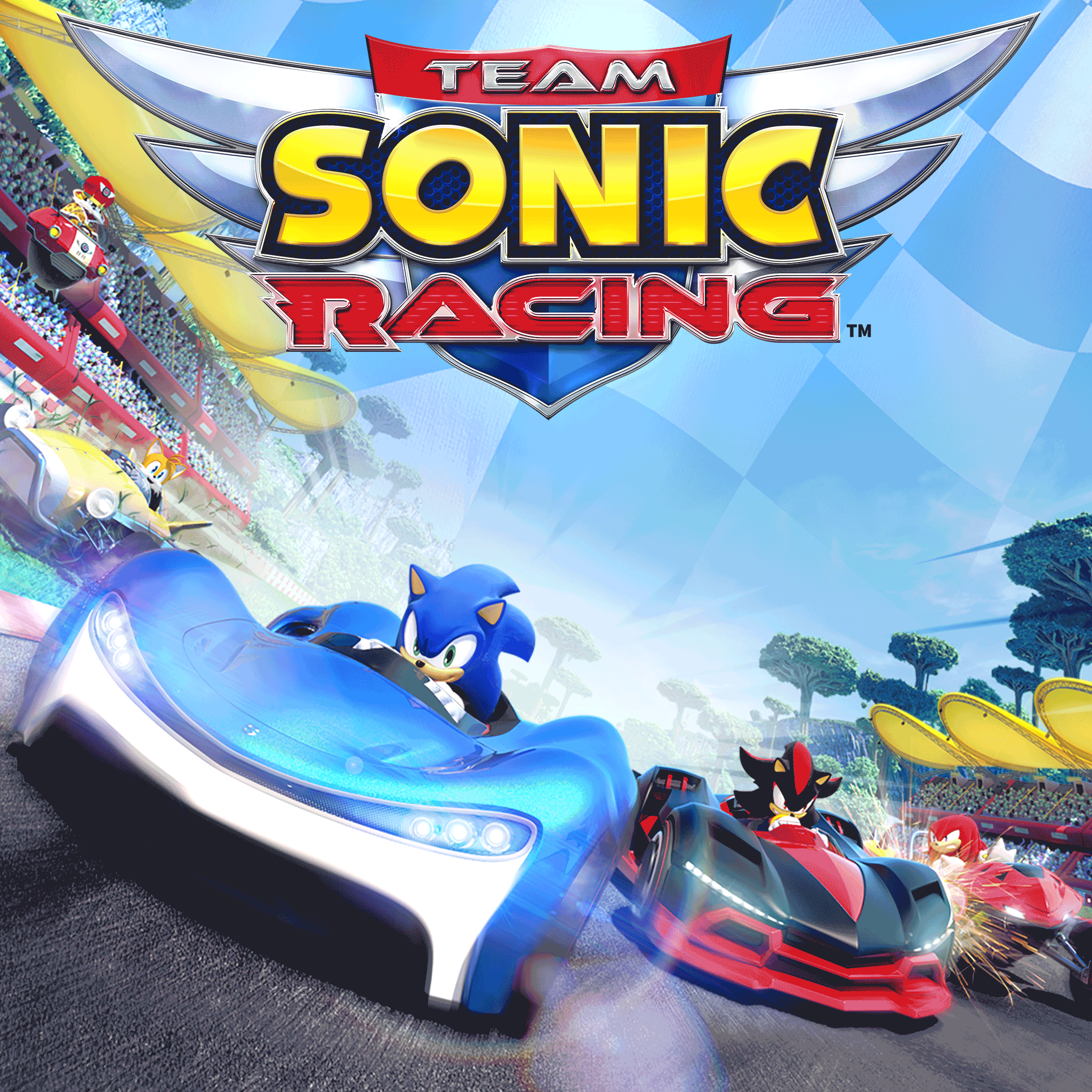 Team Sonic Racing for playstation