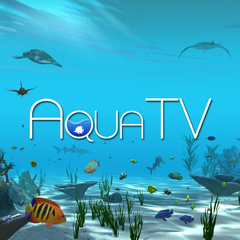 Купить дешево Aqua TV (PS4) Купить ключ дешево Aqua TV (PS4)