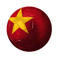 AVATAR SOCCER FLAG VIETNAM PSN avatar