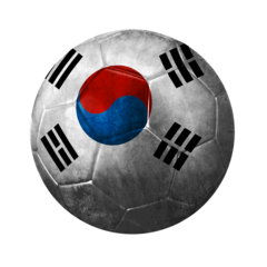 AVATAR SOCCER FLAG SOUTH KOREA PSN avatar