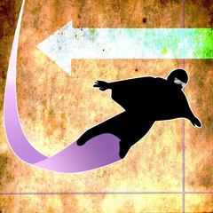 Wingsuit Avatar PSN avatar