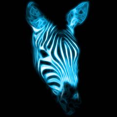 Zebra Avatar PSN avatar