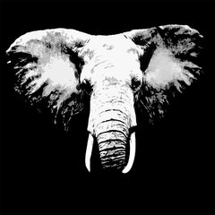 African Elephant Avatar PSN avatar