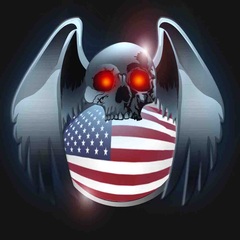 Winged USA Avatar PSN avatar
