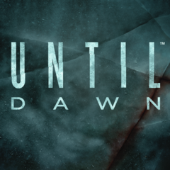 Until Dawn Avatar Bundle PSN avatar