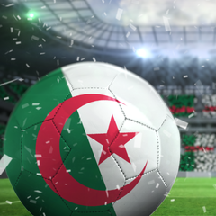 Algeria Football 2014 Avatar PSN avatar