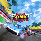 团队索尼克赛车