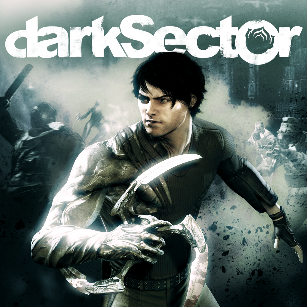 Dark Sector