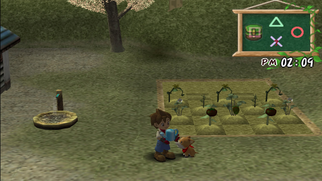 Harvest Moon A Wonderful Life ISO (PS2) Mienaga Blog