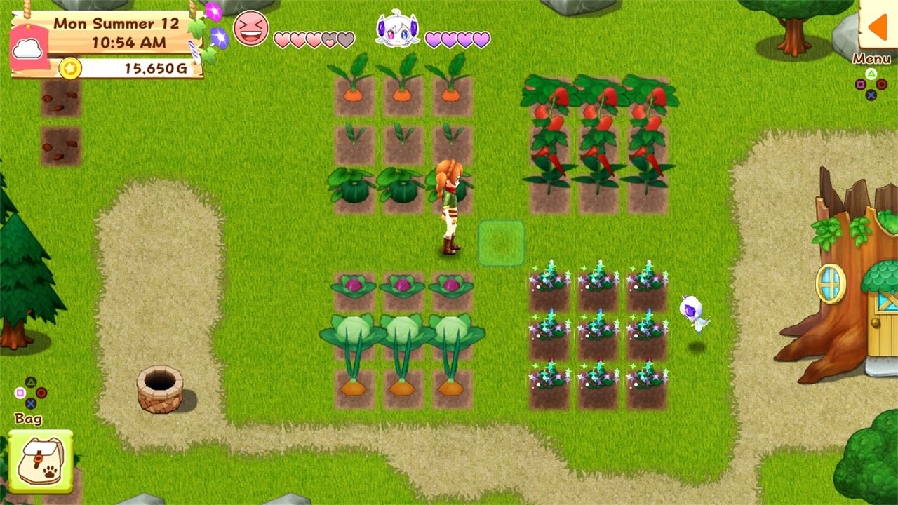 牧场物语：希望之光 特别版.Harvest Moon: Light of Hope Special Edition
