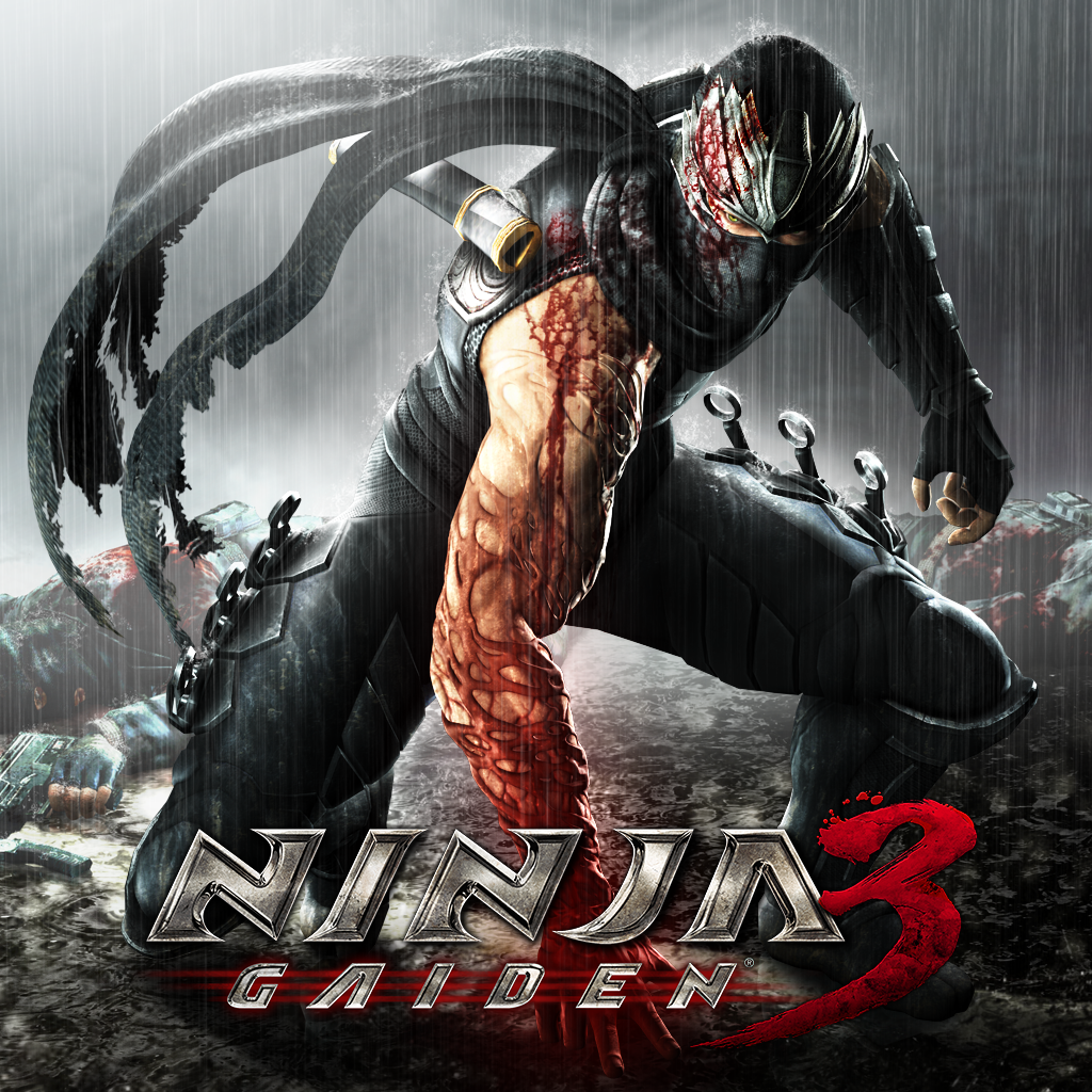 Ninja Gaiden® 3 icon