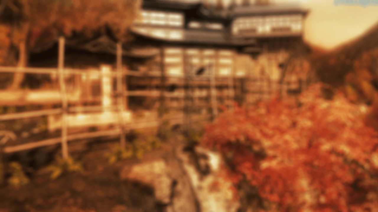 Ninja Gaiden® Sigma screenshot