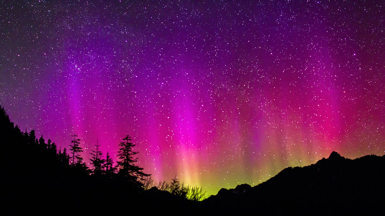 Image result for purple aurora