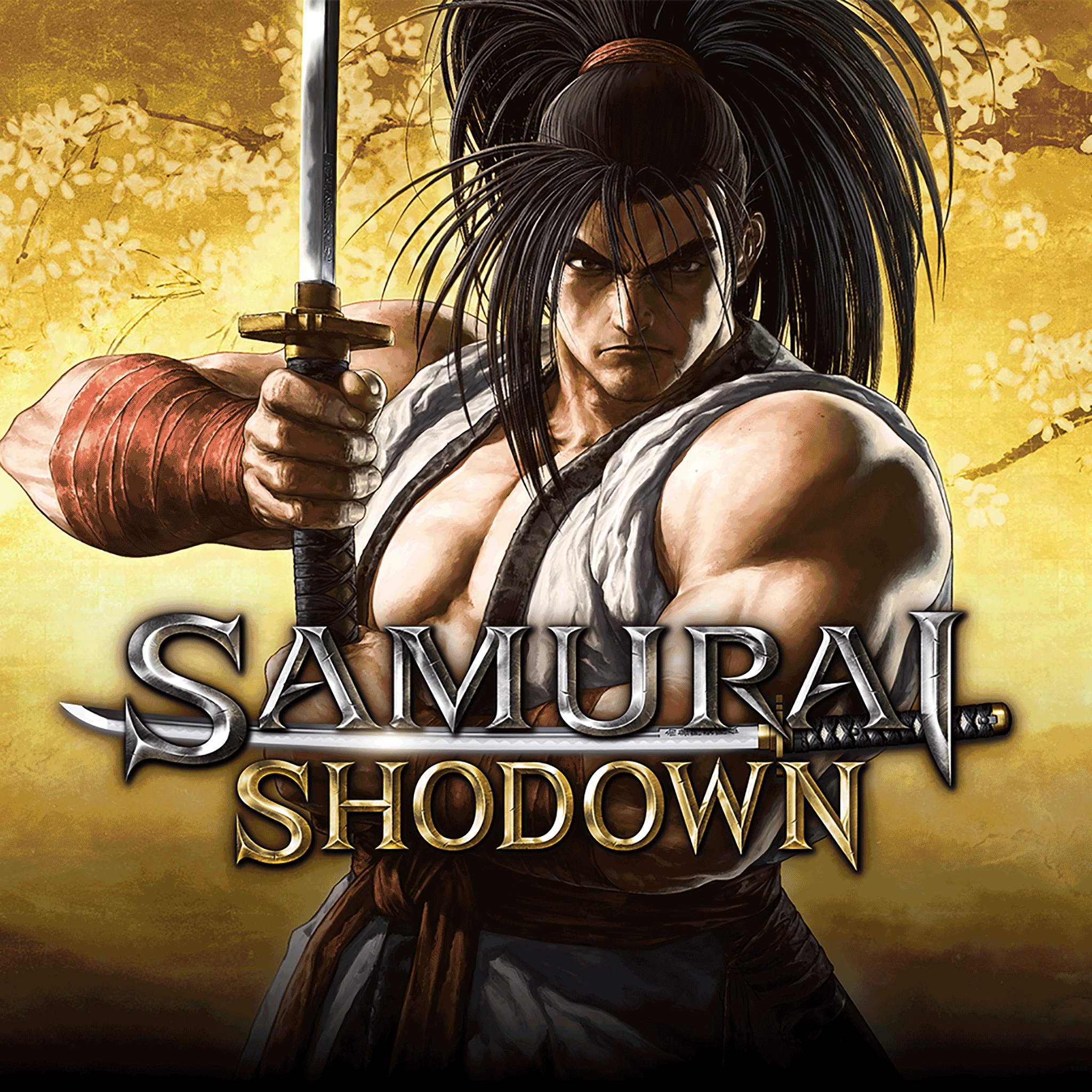 SAMURAI SHODOWN cover art (full size)