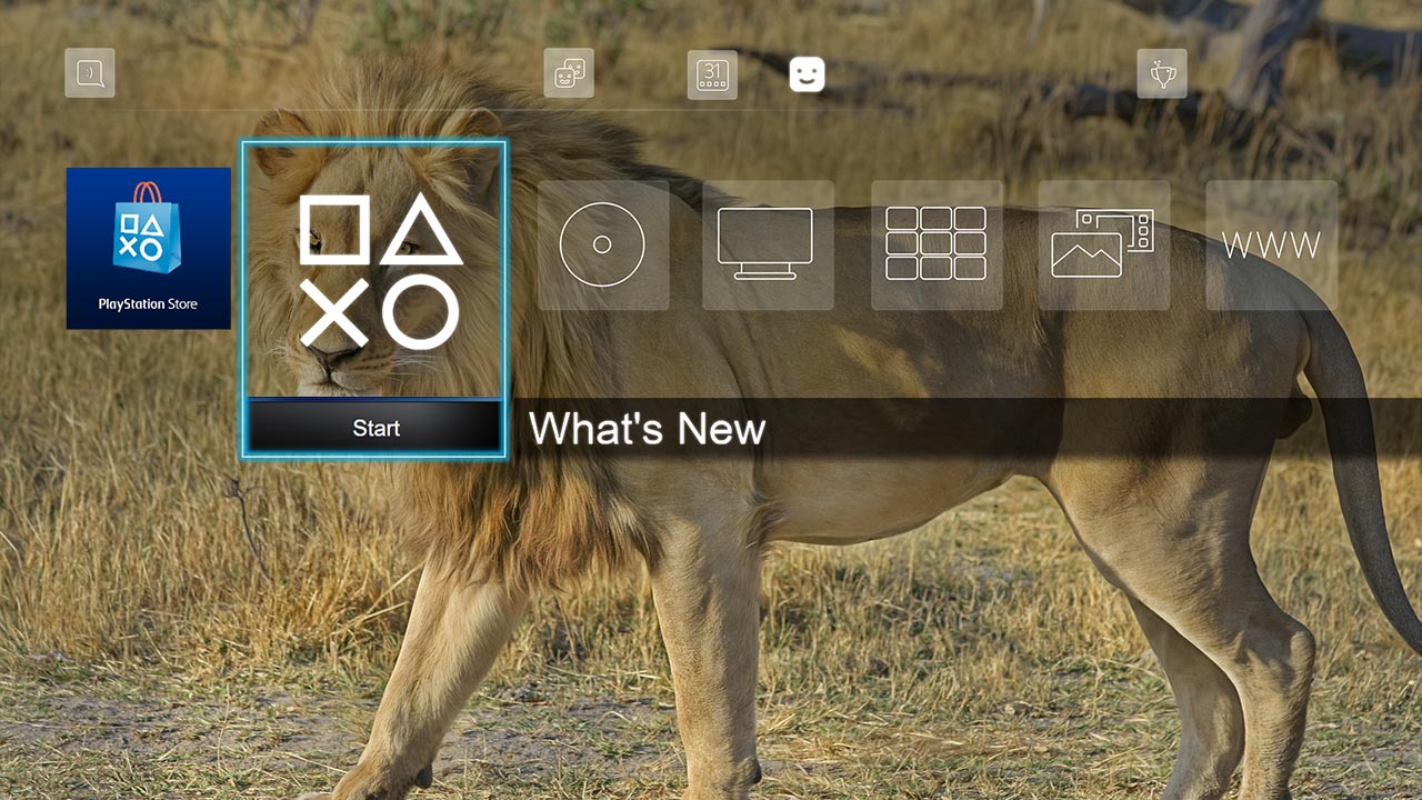 10 Images - African Lions Dynamic Theme sur PS4 | PlayStation™Store