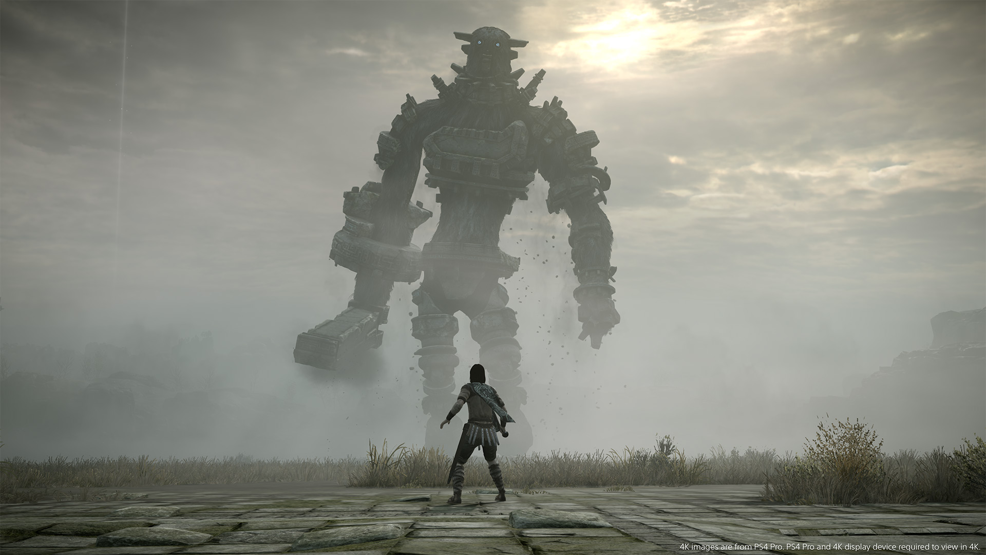 Shadow of the Colossus para PS4